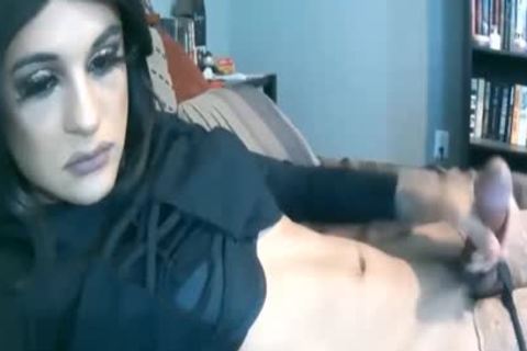 The Tramp Is Back one greater quantity time With Your Tea Drop