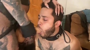 dominatrix, Transexual, And serf