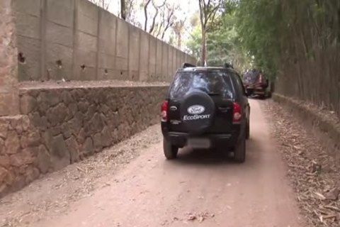 Thayla Andrade Is A lady-man With A huge dick