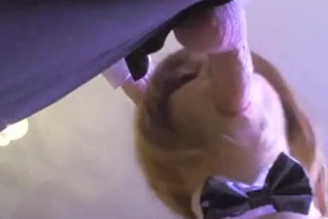 Cross blowjob For Daddy